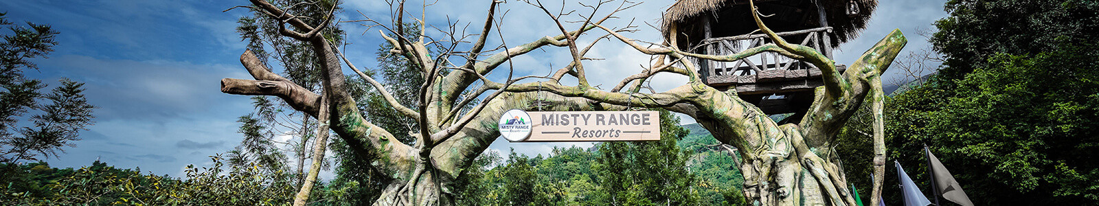 Misty Range