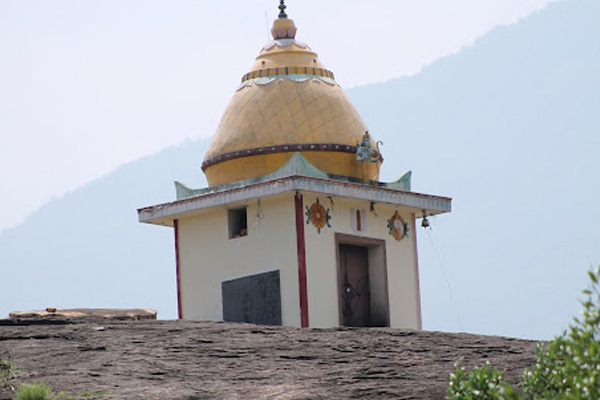 Image Caption