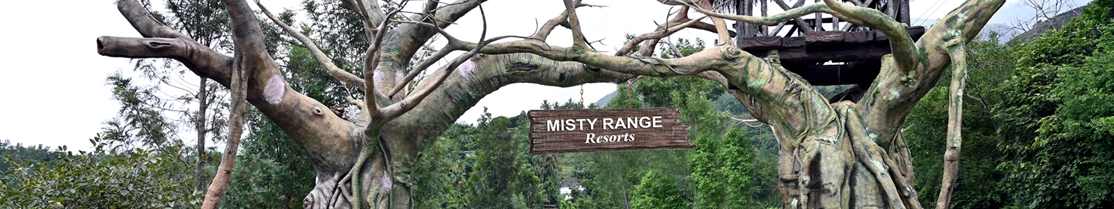 Misty Range